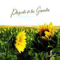 Pianoplay - Plazuela de los Girasoles