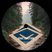 Sonic Juncture - Escapism