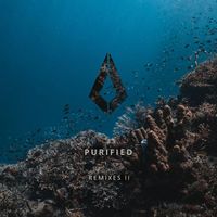 Nightlapse - Purified Remixes II (Dan Sushi Remix)