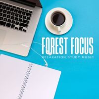 Relaxation Study Music - Forest Focus: Concentration Music