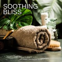 Relaxing Spa Music Zone - Soothing Bliss: Spa Treatment