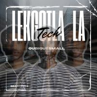 QubiqueSmall - LEKGOTLA LA TECH