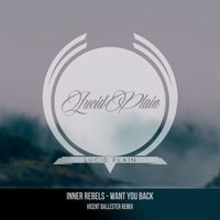Inner Rebels - Want You Back (Vicent Ballester Remix)