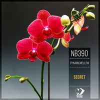 DynamicMellow - Secret