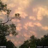 Ratio - 2023B (Sight)