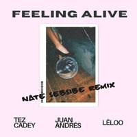 Tez Cadey - Feeling Alive (NATE SEBSIBE Remix)