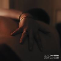 Van Den Hil - 22 Dagen