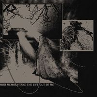 midi memory - take the life out of me