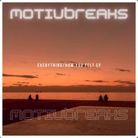 Motivbreaks - Everything/How you felt