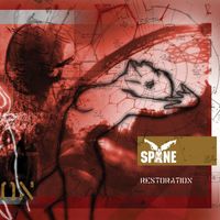Spine - Restoration