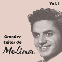 Antonio Molina - Grandes Éxitos de Molina, Vol. 1