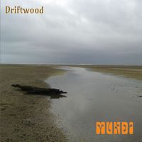 Mundi - Driftwood