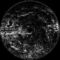 M Reilly - Lost Voices