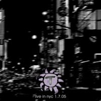 The Troubadours - Live in Nyc 1.7.05