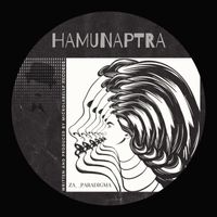Za__Paradigma - HAMUNAPTRA