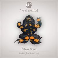Fabian Girard - Looking for Something
