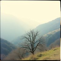 Davide Ferrario - Reconciliation