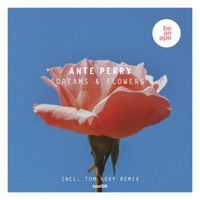 Ante Perry - Dreams & Flowers