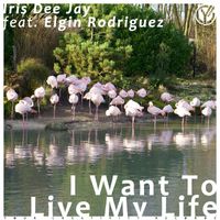 Iris Dee Jay featuring Elgin Rodríguez - I Want to Live My Life