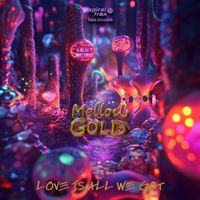 Mellow Gold - Love Is All We Got