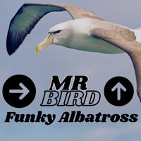 Mr Bird - Funky Albatross