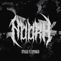 Noork - Space Flvmingo