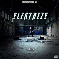 D-Frek - ELEKTRIZE