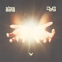 Dana Berger - בלב פתוח