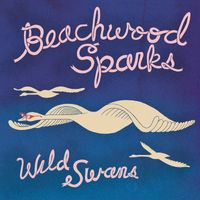 Beachwood Sparks - Wild Swans