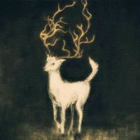 Shadow Band - Eagle Unseen