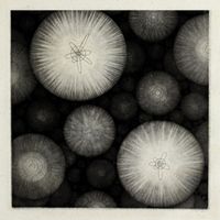 Landhouse - Goomland