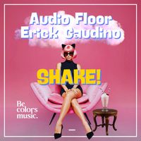 Audio Floor, Erick Gaudino - SHAKE