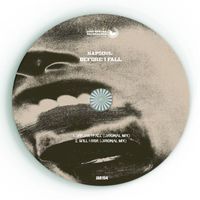 Napsoul - Before I Fall