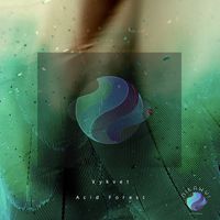 Vykvet - Acid Forest
