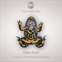 Fabian Girard - Looking for Something (Bunched Remix)