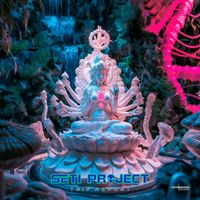 SETI Project - Trip Report