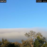 Ratio - 2024A (Form)