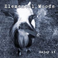 Elemental Moods - Enjoy It