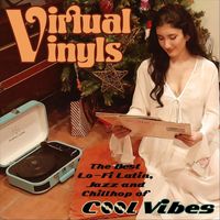 Cool Vibes - Virtual Vinyls