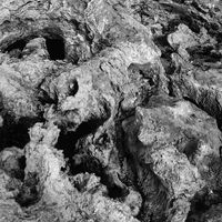 Juxta Position - The Creature