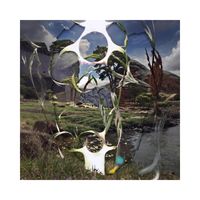 Vallen - Metamorpho