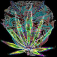 DJ WEED - 𝚎𝚕 𝚍𝚎𝚜𝚎𝚘 †𝚎 𝚌𝚘𝚗𝚜𝚞𝚖𝚎