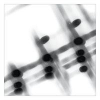 Gregor Samsa - 40:13.5