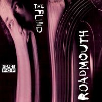 The Fluid - Roadmouth (2024 Remix/Remaster)