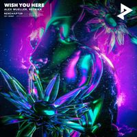 Alex Mueller & Retrika - Wish You Here