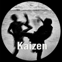 Other - Kaizen