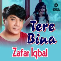 Zafar Iqbal - Tere Bina