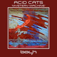 Acid Cats - Mystery Machine