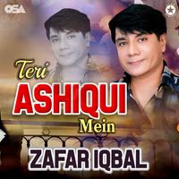 Zafar Iqbal - Teri Ashiqui Mein