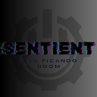 SENTIENT - É Só Ficando Boom